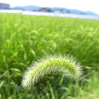 P1010138