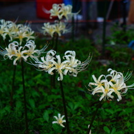 DSC01120