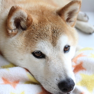 ねむい・・・