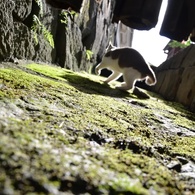 熊本cat2