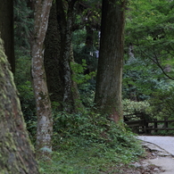 上り坂