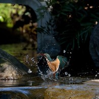 モミカワが撮れる公園で２