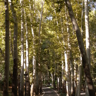 路地・小道Teheran0127