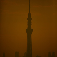 【枯れた空】