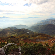 山の秋