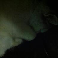 2011.11.29.4.白