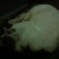 2011.11.29.6.白