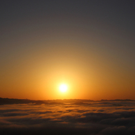sunny side up