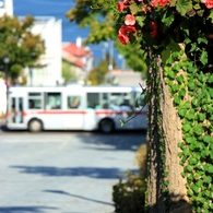 函館の散歩路（２）