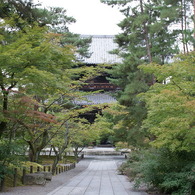 南禅寺　秋待ちどうし・・