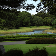 Pond