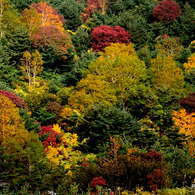 201310_joudo_07
