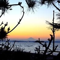 富士山を愛でる