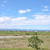 写真日記＜2013-10-17＞
