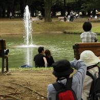 いいじゃない、あの二人