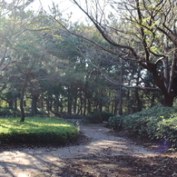 葛西臨海公園２０１３_２5