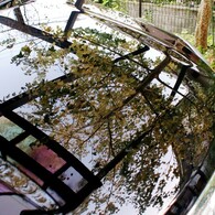 車をキャンパスに