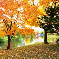 札幌　中島公園　４
