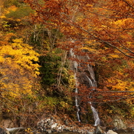 照葉峡の秋