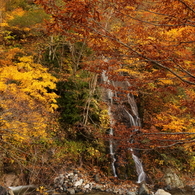 照葉峡の秋