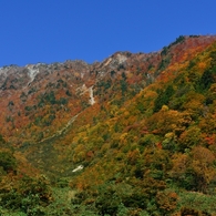 秋　快晴の大白川へ♪