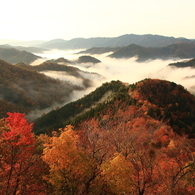 雲海と紅葉②