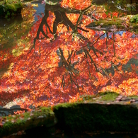 水鏡