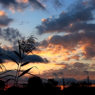 夕焼け