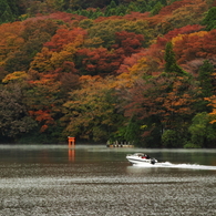 赤鳥居に向かって