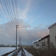散歩道_003