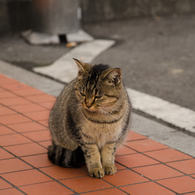 腹減ったなぁ・・・