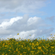 IMGP5872