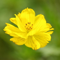 IMGP5760