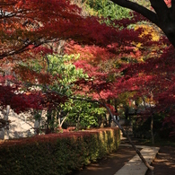 秋道２
