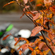 photo_2931122