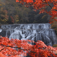 滝と紅葉