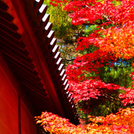 京都嵐山