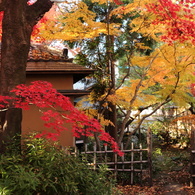 観涛居