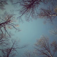 20131124a
