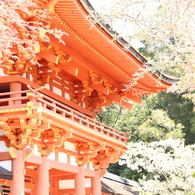 鴨川神社