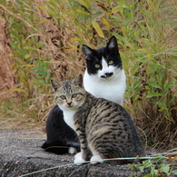 ～ まなざし×2 ～
