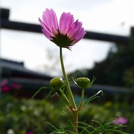 P1040165