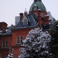 赤レンガも雪化粧