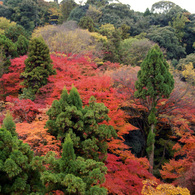 清水寺