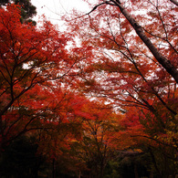 清水寺