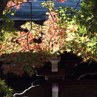 本土寺にて。。。１８