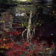 本土寺にて。。。１９