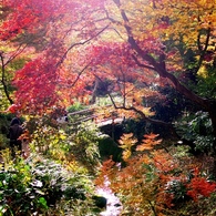 三渓園　内苑の川