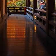 京都の紅葉2013　1-18
