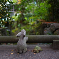 うさぎと亀